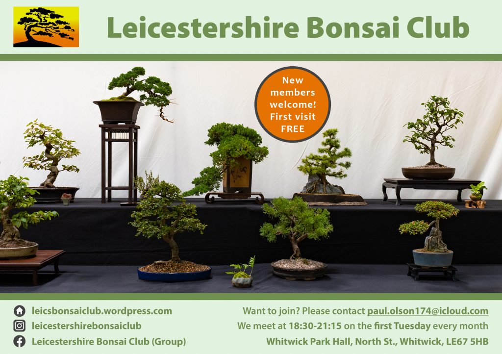 Leicestershire Bonsai Club - We meet at Whitwick Park, North Street, Whitwick, LE67 5HB on the first Tuesday of each month between 6.30pm and 9.15pm. New members welcome. First visit FREE. Want to join? email paul.olson174@icloud.com. Full details via website leicsbonsaiclub.wordpress.com We are also on Facebook and Instagram